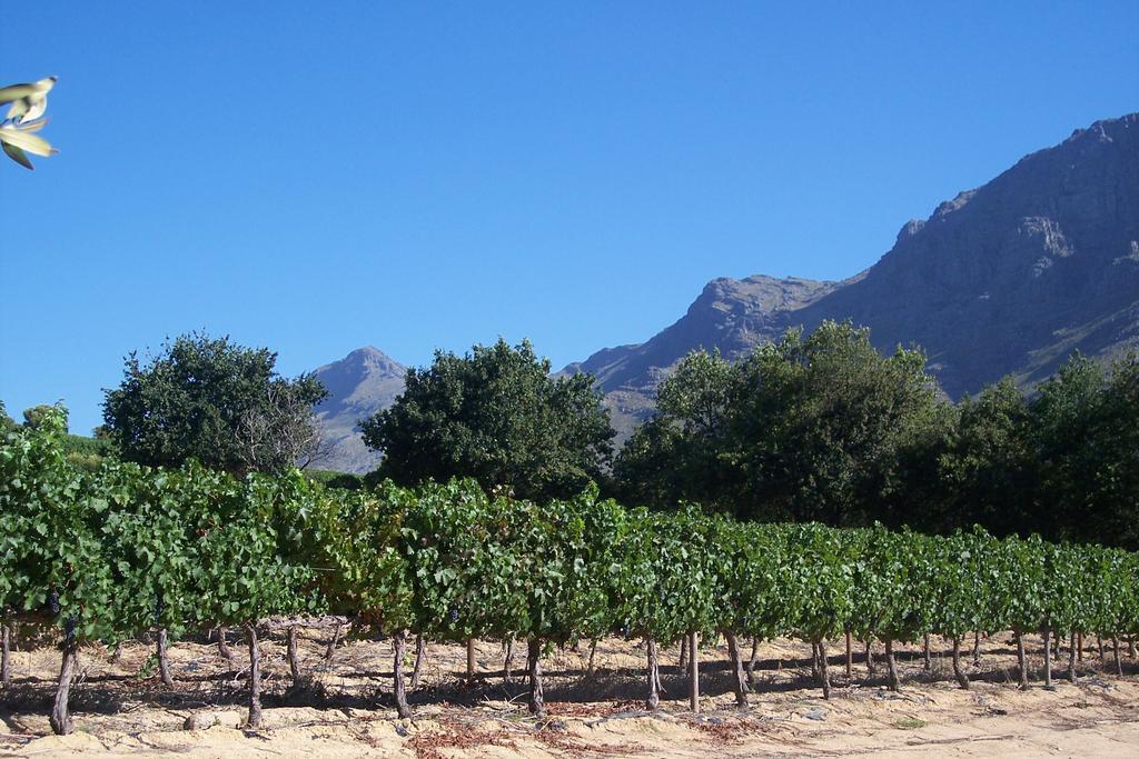 Hotel Sonklip Municipalità locale di Municipalità locale di Stellenbosch Esterno foto