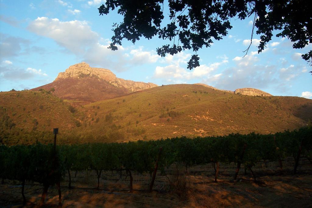 Hotel Sonklip Municipalità locale di Municipalità locale di Stellenbosch Esterno foto