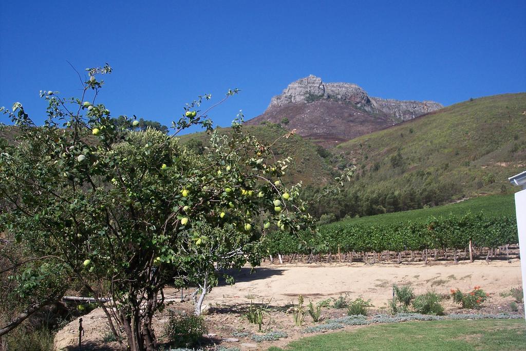 Hotel Sonklip Municipalità locale di Municipalità locale di Stellenbosch Esterno foto