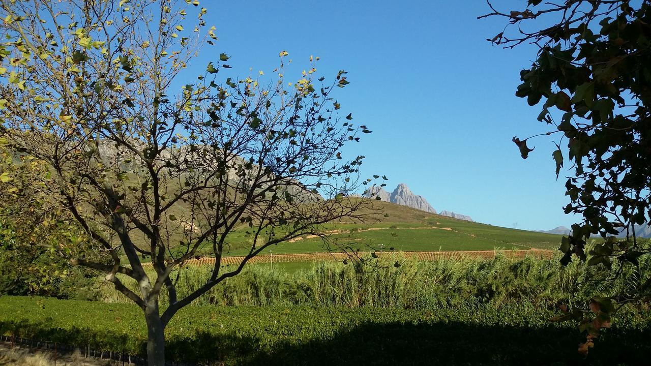 Hotel Sonklip Municipalità locale di Municipalità locale di Stellenbosch Esterno foto