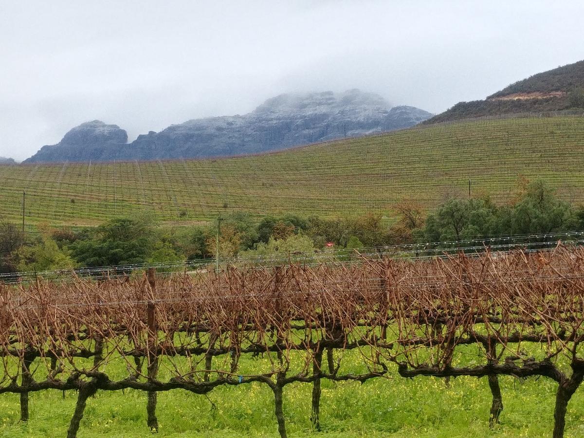 Hotel Sonklip Municipalità locale di Municipalità locale di Stellenbosch Esterno foto