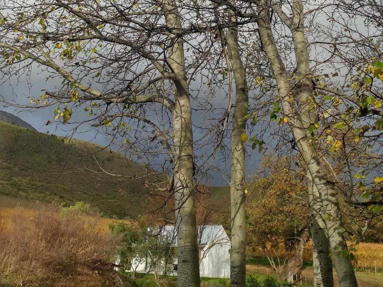 Hotel Sonklip Municipalità locale di Municipalità locale di Stellenbosch Esterno foto
